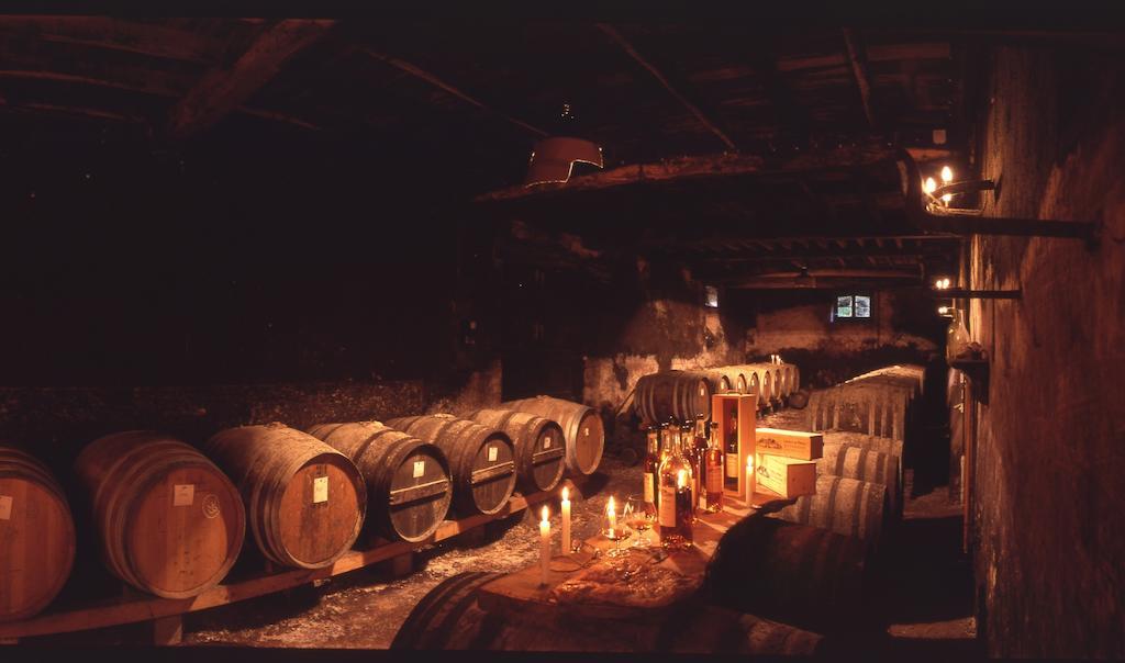 Chateau Du Prada Labastide-d'Armagnac ภายนอก รูปภาพ